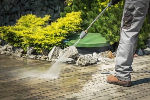 Best Dumpster Area Cleaning  in Sneads, FL