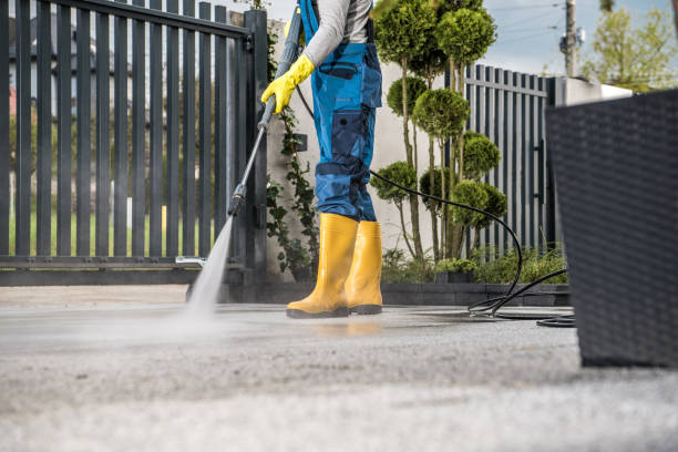 Best Gutter Cleaning  in Sneads, FL